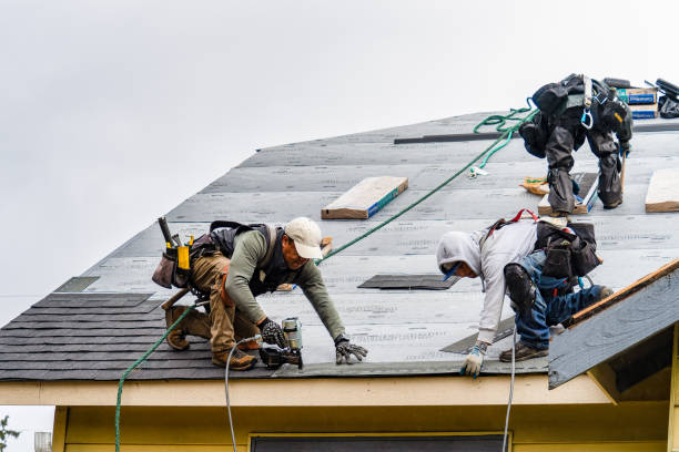 Professional Gutter Installation technician working in Maitland, MO